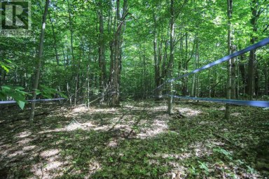 Lot 6 Hilton RD Jocelyn Township Ontario photo 34