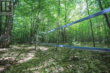 Lot 6 Hilton RD Jocelyn Township Ontario photo 35