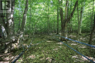 Lot 6 Hilton RD Jocelyn Township Ontario photo 36