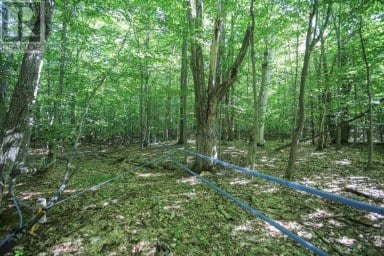 Lot 6 Hilton RD Jocelyn Township Ontario photo 37