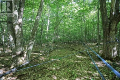 Lot 6 Hilton RD Jocelyn Township Ontario photo 38
