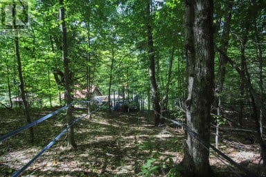 Lot 6 Hilton RD Jocelyn Township Ontario photo 39