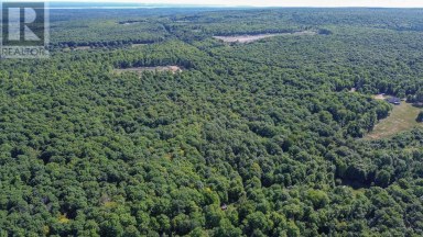 Lot 6 Hilton RD Jocelyn Township Ontario photo 4