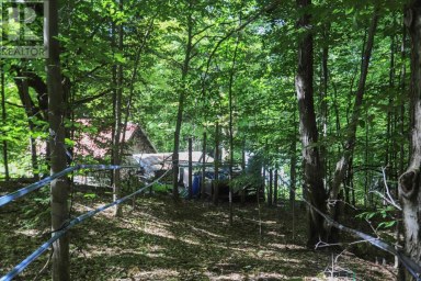 Lot 6 Hilton RD Jocelyn Township Ontario photo 40