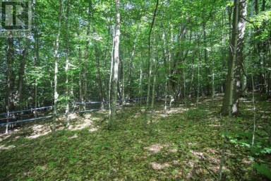 Lot 6 Hilton RD Jocelyn Township Ontario photo 43