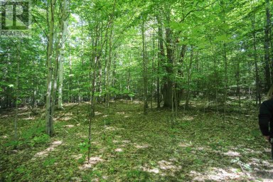 Lot 6 Hilton RD Jocelyn Township Ontario photo 45