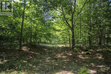 Lot 6 Hilton RD Jocelyn Township Ontario photo 46