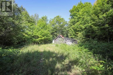 Lot 6 Hilton RD Jocelyn Township Ontario photo 47