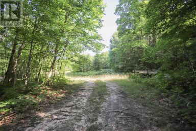 Lot 6 Hilton RD Jocelyn Township Ontario photo 48