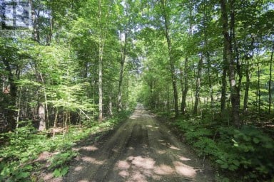 Lot 6 Hilton RD Jocelyn Township Ontario photo 50