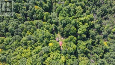 Lot 6 Hilton RD Jocelyn Township Ontario photo 6
