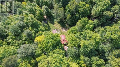 Lot 6 Hilton RD Jocelyn Township Ontario photo 7