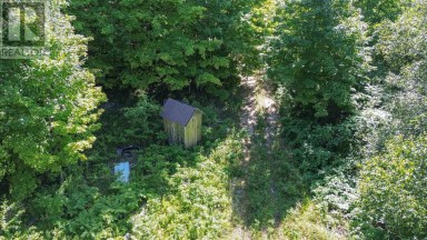 Lot 6 Hilton RD Jocelyn Township Ontario photo 9