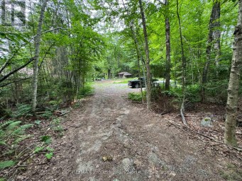 1090 RIVER HAVEN ROAD Bracebridge (Draper) Ontario photo 10
