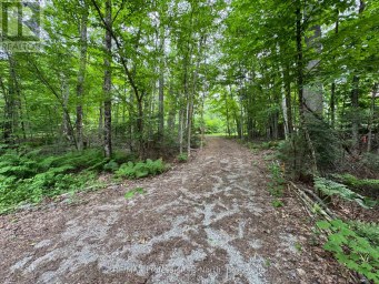 1090 RIVER HAVEN ROAD Bracebridge (Draper) Ontario photo 11