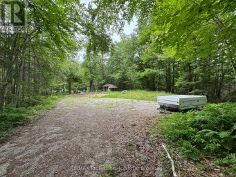 1090 RIVER HAVEN ROAD Bracebridge (Draper) Ontario photo 9