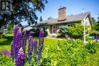 834 CROWLEY CRESCENT Peterborough (Monaghan Ward 2) Ontario photo 37