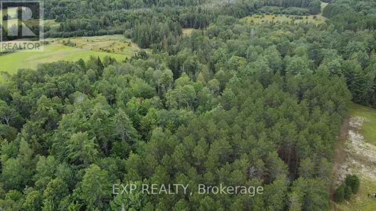 6311 PALMER ROAD, Brudenell, Lyndoch and Raglan, Ontario, K0J2E0