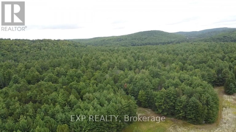 6311 PALMER ROAD, Brudenell, Lyndoch and Raglan, Ontario, K0J2E0