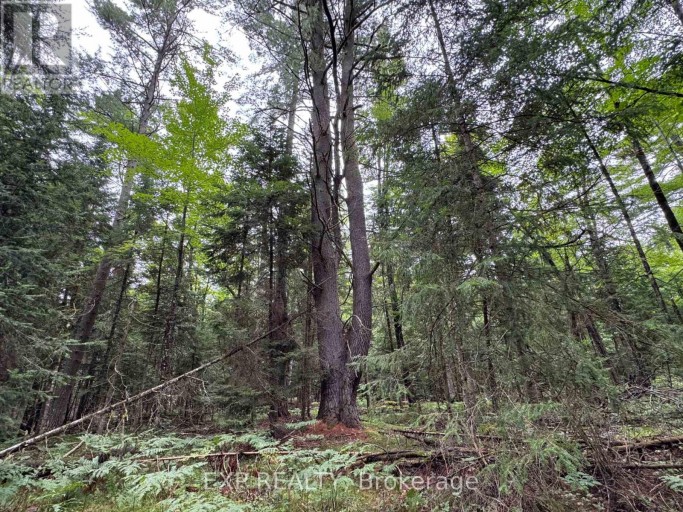 6311 PALMER ROAD, Brudenell, Lyndoch and Raglan, Ontario, K0J2E0