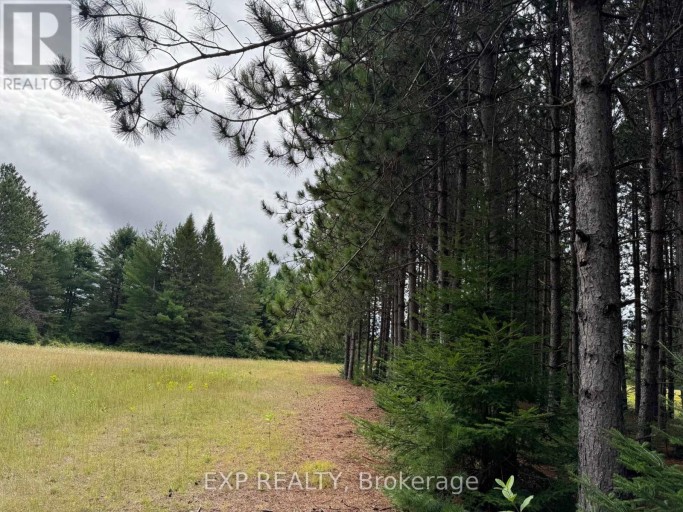 6311 PALMER ROAD, Brudenell, Lyndoch and Raglan, Ontario, K0J2E0