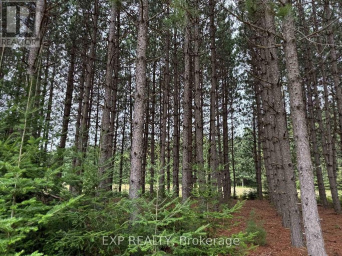 6311 PALMER ROAD, Brudenell, Lyndoch and Raglan, Ontario, K0J2E0