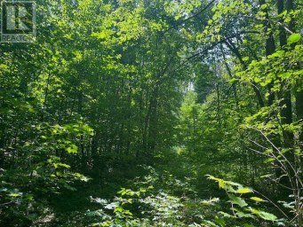 PT LT44 CHATSWORTH  24 ROAD Chatsworth Ontario photo 13