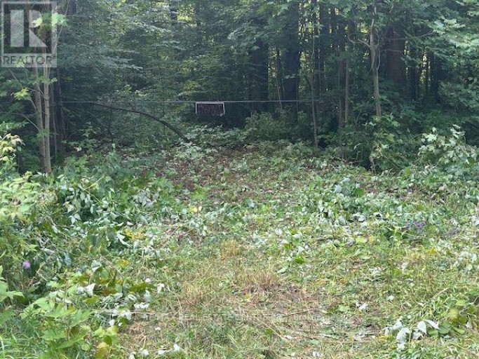 PT LT44 CHATSWORTH  24 ROAD, Chatsworth, Ontario, N0H1R0