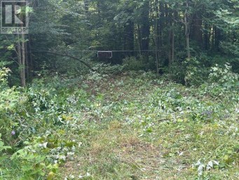 PT LT44 CHATSWORTH  24 ROAD Chatsworth Ontario photo 14