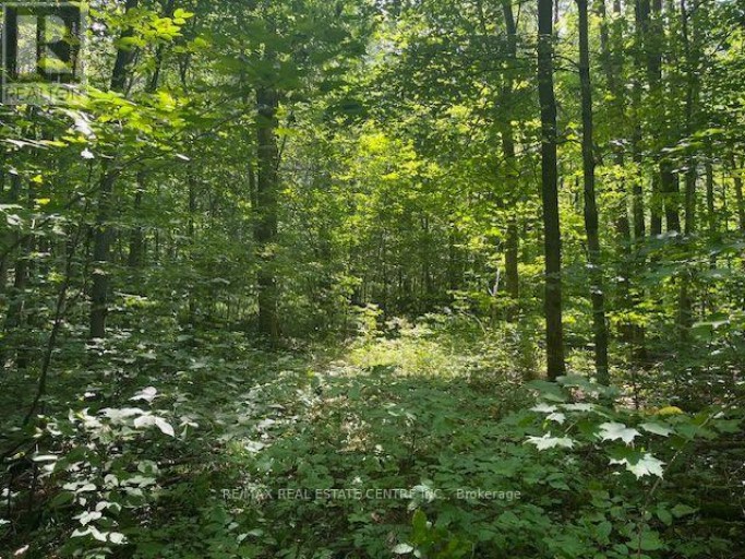 PT LT44 CHATSWORTH  24 ROAD, Chatsworth, Ontario, N0H1R0