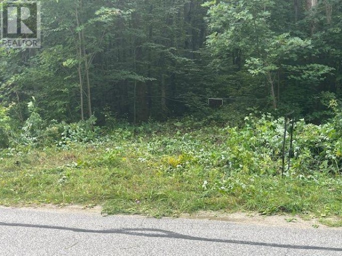 PT LT44 CHATSWORTH  24 ROAD, Chatsworth, Ontario, N0H1R0