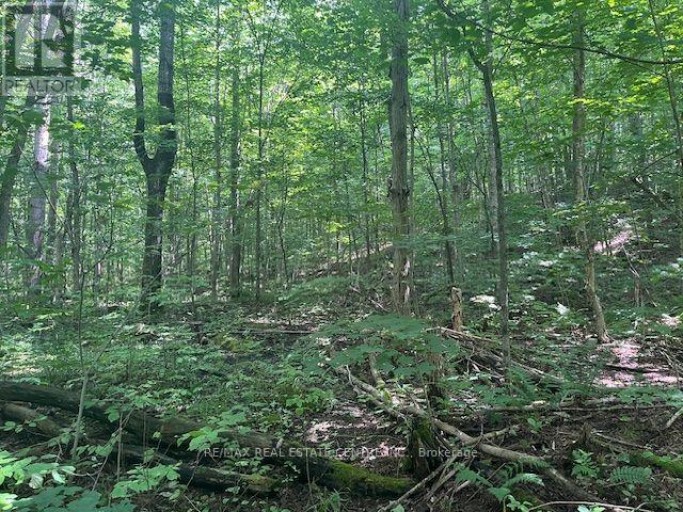 PT LT44 CHATSWORTH  24 ROAD, Chatsworth, Ontario, N0H1R0