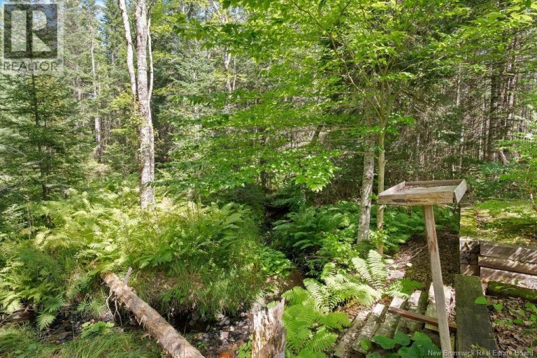 20 Harper Settlement Road, Anagance, New Brunswick, E4Z1E6
