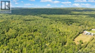 20 Harper Settlement Road Anagance New Brunswick photo 39
