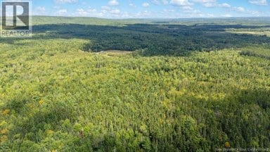 20 Harper Settlement Road Anagance New Brunswick photo 40