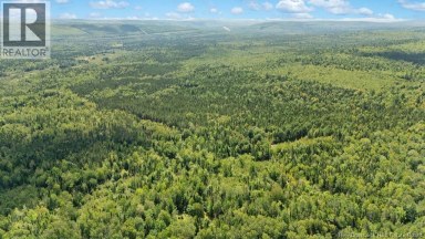 20 Harper Settlement Road Anagance New Brunswick photo 46