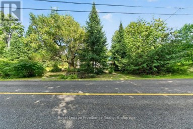2452 HENDERSON ROAD Frontenac (Frontenac Centre) Ontario photo 38