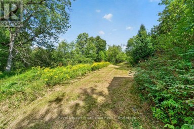 2452 HENDERSON ROAD Frontenac (Frontenac Centre) Ontario photo 9