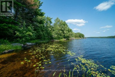 0 BEBRIS RD LOT 15 ROAD Frontenac (Frontenac Centre) Ontario photo 30