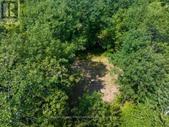 0 BEBRIS RD LOT 15 ROAD Frontenac (Frontenac Centre) Ontario photo 5