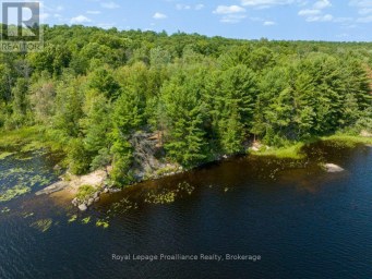 0 BEBRIS ROAD LOT 16 Frontenac (Frontenac Centre) Ontario photo 11