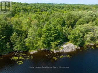 0 BEBRIS ROAD LOT 16 Frontenac (Frontenac Centre) Ontario photo 13