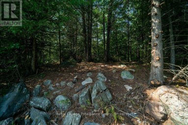 0 BEBRIS ROAD LOT 16 Frontenac (Frontenac Centre) Ontario photo 30