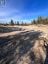 PT LT 11 CONCESSION 4 BIRCHILL ROAD, Cochrane (cochrane Unorganized), Ontario, P0L1C0 (ID T13708590)