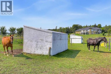 286027 11 Street W Rural Foothills County Alberta photo 48