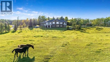 286027 11 Street W Rural Foothills County Alberta photo 5
