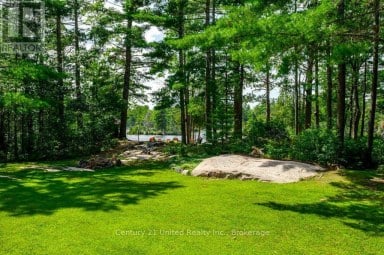 41 HALL CRESCENT Trent Lakes Ontario photo 47