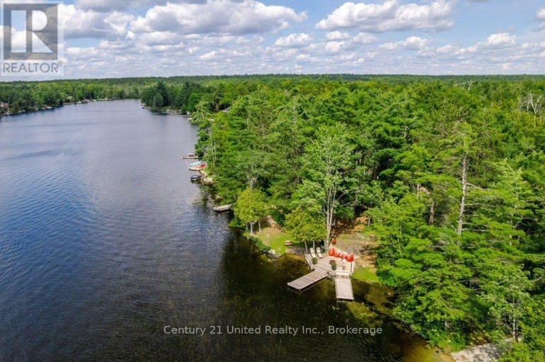 41 HALL CRESCENT, Trent Lakes, Ontario, K0L1J0