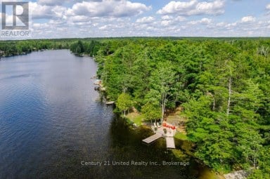 41 HALL CRESCENT Trent Lakes Ontario photo 7