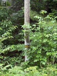 968 NORTH MARY LAKE ROAD Huntsville Ontario photo 2